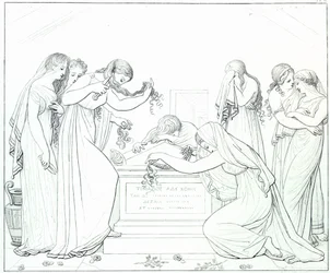 Illustration aus dem 